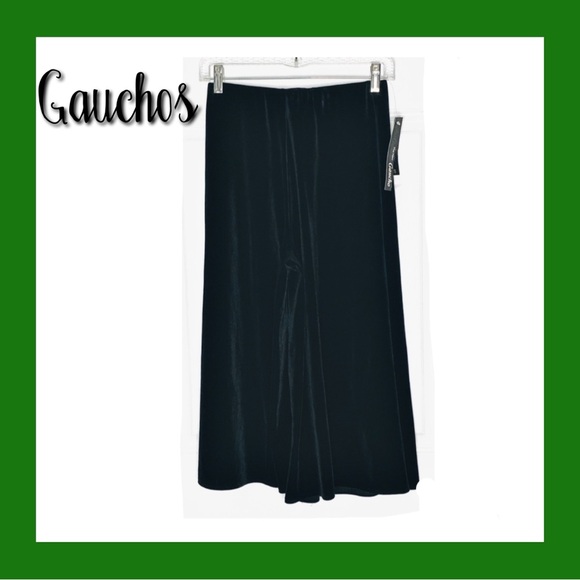 NWT Pantology Gaucho Pants, Black Velvet, Size Small - Picture 2 of 10